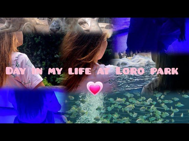 Day in my life at LORO PARK