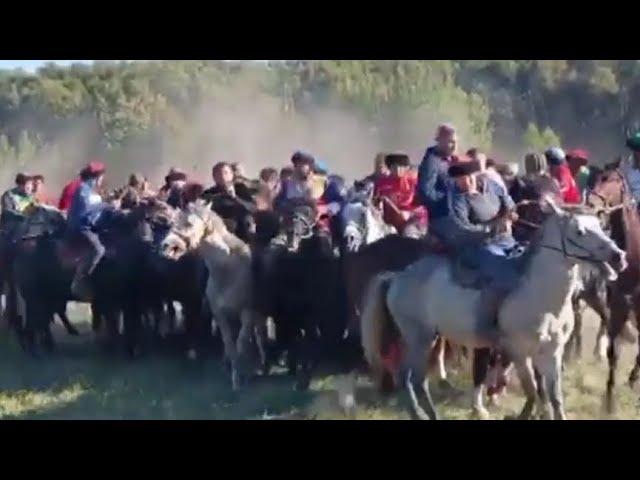 БУЗКАШИ ДАР ФЕДЕРАЦИИ РОССИИ РАЁН РАМЕНСКОЕ МОСКОВСКОЙ ОБЛАСТИ 23.09.2024