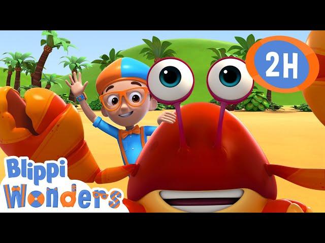 Sand | Blippi Wonders | Preschool Learning | Moonbug Tiny TV