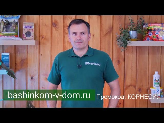 Школа ОЖЗ: Секрет посадки огурцов- урожая в 3 раза больше!