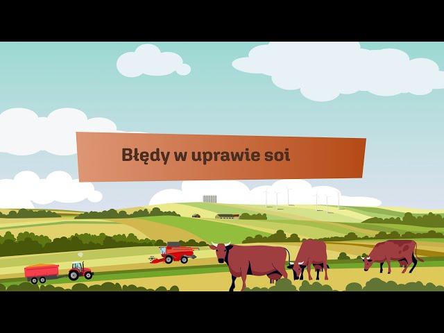 Błędy w uprawie soi