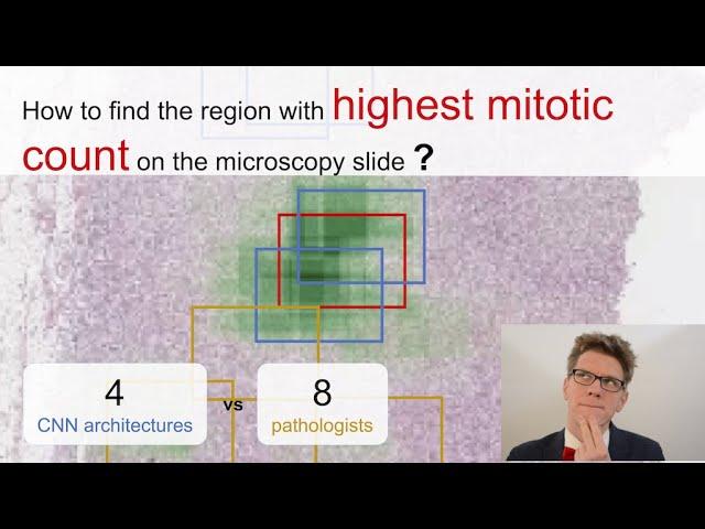 Region of Interest for Mitotic Count in Microscopy Slides