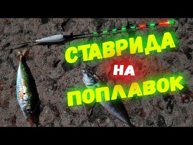 СТАВРИДА на поплавок! Поклёвки одна за другой!!! Просто мечта, а не рыбалка!!!