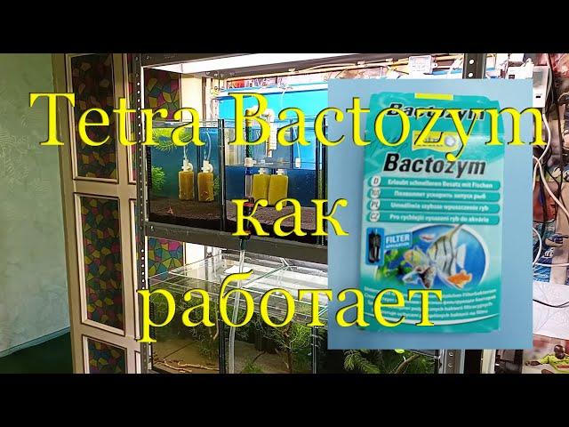 Tetra Bactozym: быстрый запуск / перезапуск аквариума, креветочника. Как работает добавка.