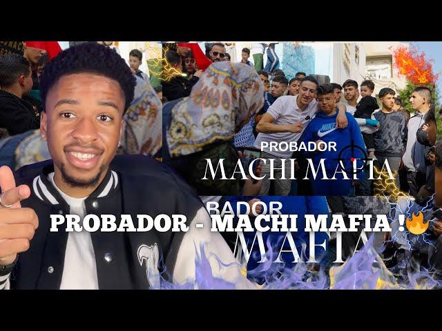 Probador - Machi Mafia Reaction!