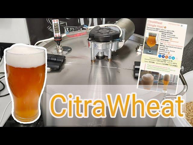 Пшеничное пиво с хмелем Citra - "CitraWheat". Самое вкусное домашнее пшеничное ПИВО! Рецепт пива.