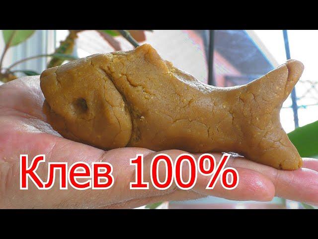 Овсяное тесто для рыбалки для ловли по холодной воде. My fishing