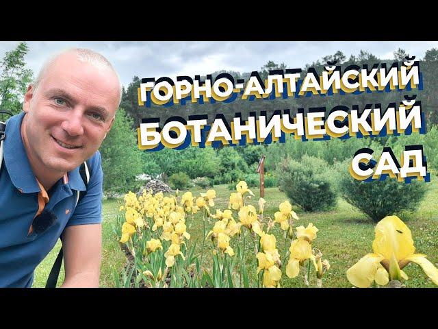 Горно-Алтайский ботанический сад