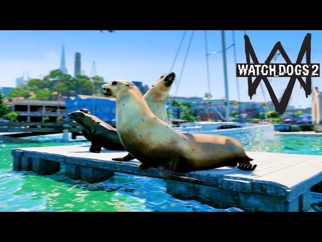 Жизнь Хакера в Watch Dogs 2 - МОРСКИЕ КОТИКИ. ОФИС ЮБИСОФТ. ПАРКУР.