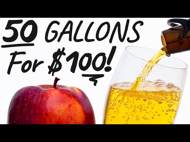 How to Make Hard Cider - Easy Beginner Recipe