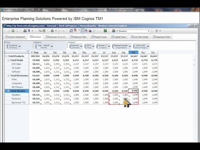 Cognos TM1 Planning