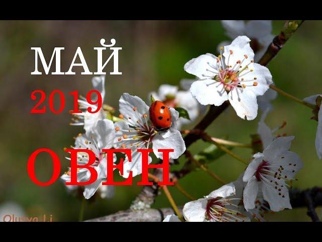 ОВЕН. ТАРО-ПРОГНОЗ на месяц МАЙ 2019 год.