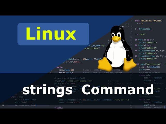 Linux Command - strings