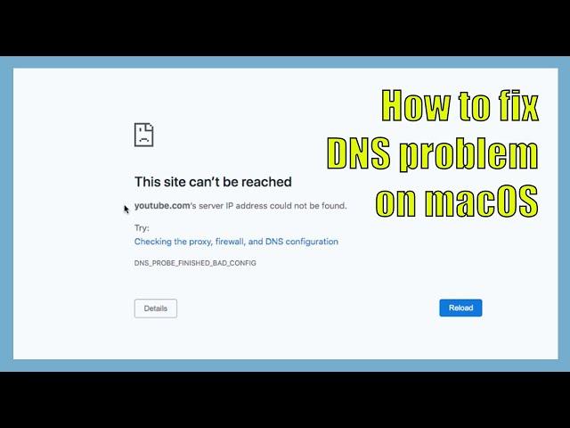 How to quick fix DNS problem on macOS