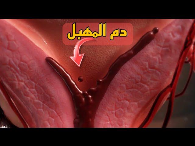 شاهد كيف تحدث الدورة الشهرية والتبويض عند النساء