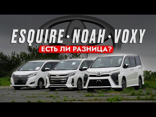 NOAH | VOXY | ESQUIRE️ ТОП МИНИВЭНОВ TOYOTA! Обзор и сравнение: ЦЕН, ХАРАКТЕРИСТИК и ОПЦИЙ! 2023