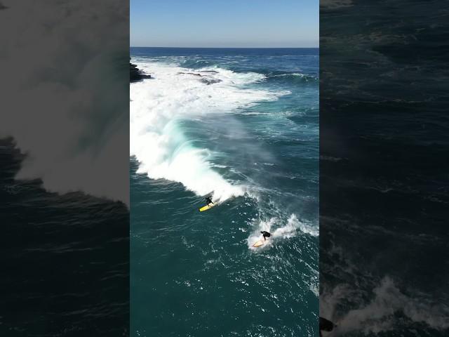 Double Banger. Surfing Sydney, Australia