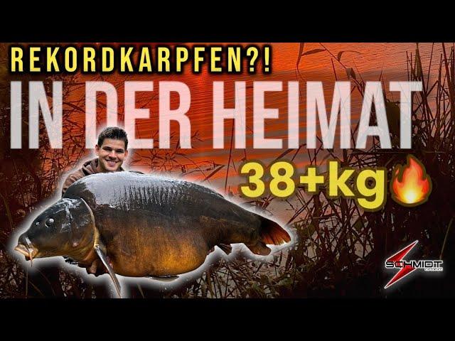 Ist das ein neuer REKORD Karpfen?! | 38+KG|Großfischangeln im Sommer