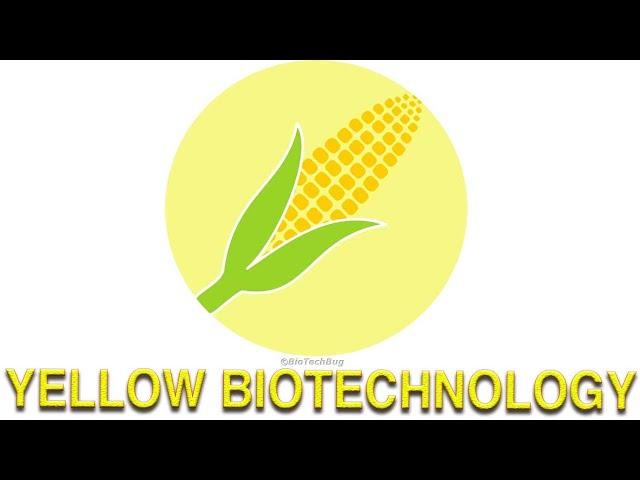 Exploring Yellow Biotechnology: Revolutionizing Industrial Processes (6 Minutes Microlearning)