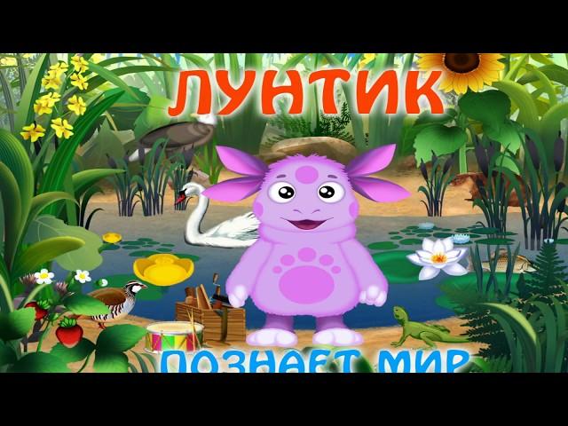 Walkthrough. Luntik Learns The World. Cartoon. Collection. Games Cartoons.