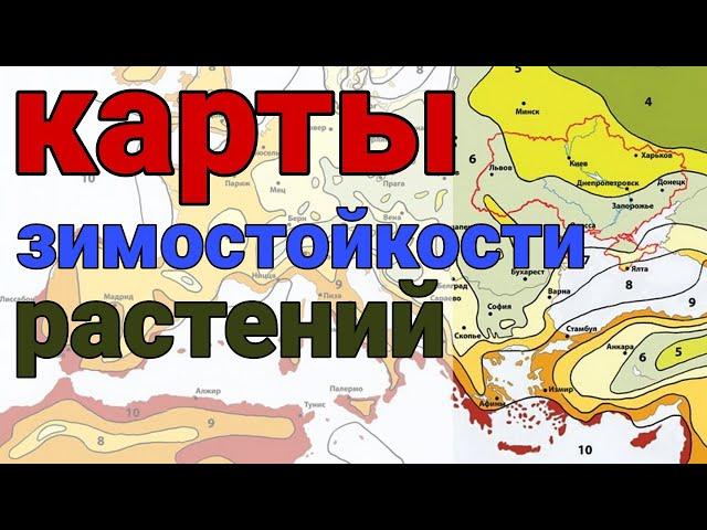 Морозостойкость растений, что это? Карты зимостойкости растений для России и Украины