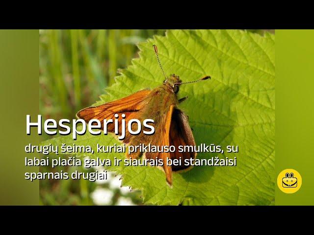 Hesperijos