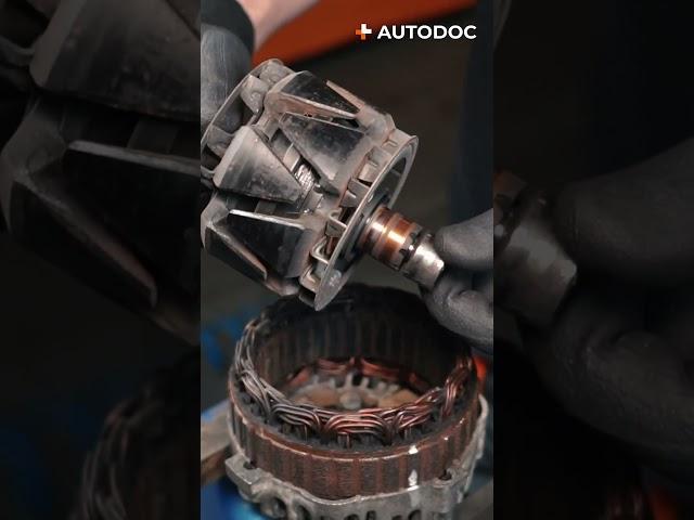 Disassembling an alternator | AUTODOC #shorts