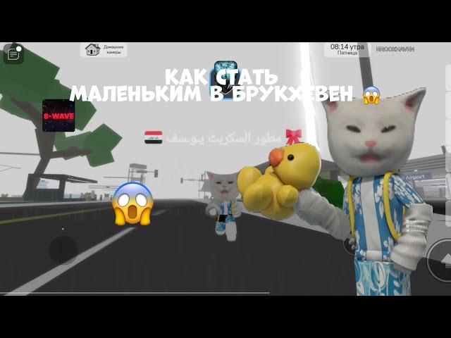 КААК СТАТЬ МАЛЕНЬКИМ В БРУКХЕВЕН *РАБОТАЕТ *