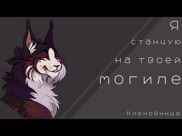 Кленовница:«Я станцую на твоей могиле»//Коты Воители