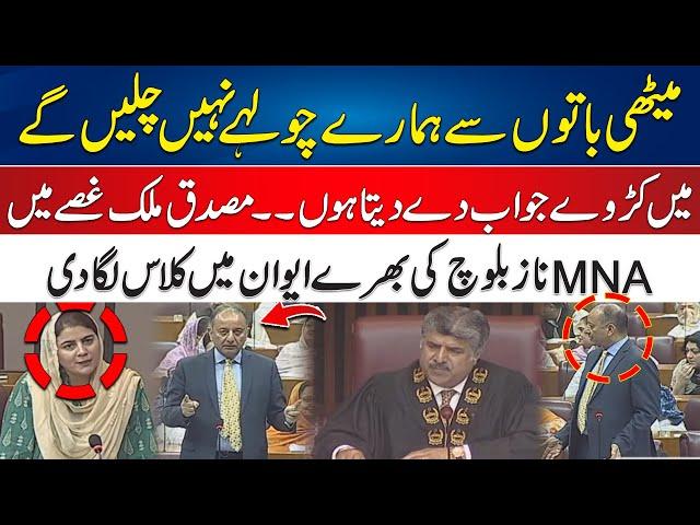 MNA Naz Baloch Ke Sawal Per Musadiq Malik Gussa Me A Gaye - Hard Reply To Naz Baloch Questions