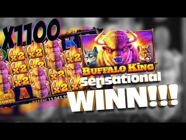 Big win х1100 buffalo king ставка??? | Record Zanos Mega big win