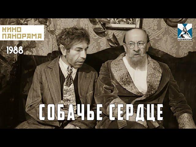 Собачье сердце (1988 год) комедийная драма