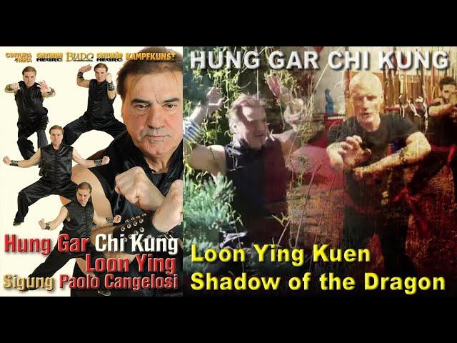 Chi Kung Hung Gar. Loon Ying Kuen, the Shadow of the Dragon