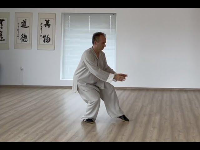 Taijiform according to Grandmaster Yang Chengfu, demonstrated by Jan Silberstorff (2021).