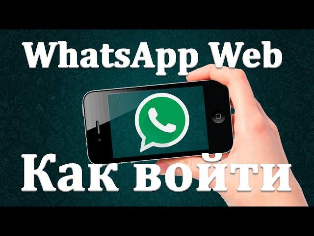 WhatsApp Web как пользоваться Веб версией Ватсапп