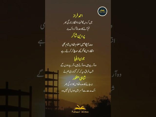Ahmed Faraz, Parveen Shakir and Jaun Elia Poetry | Poetry for Poetry Lovers | #shorts #poetry y