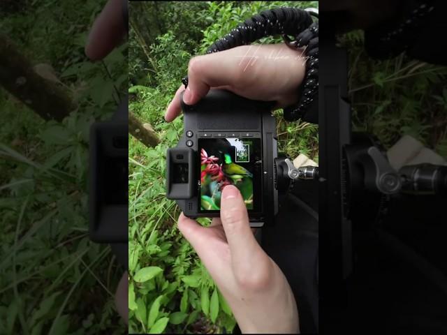 Landscape Photography with the Hasselblad X2D 100C - Next Level | 4k-Ultra Zoom | #shorts