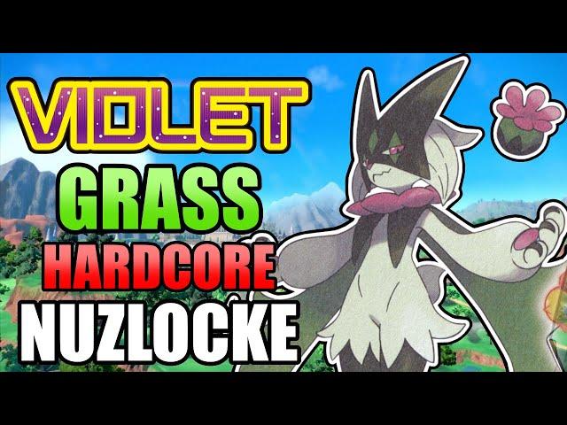 Can Grass Types Beat a Violet Nuzlocke?