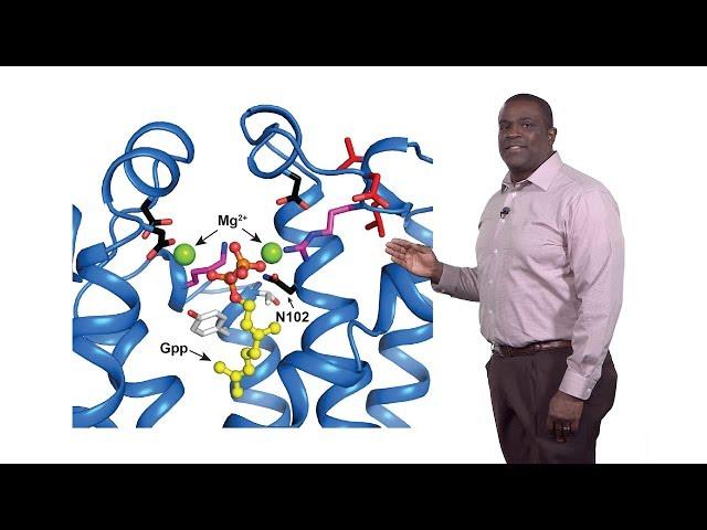 Russell DeBose-Boyd (UTSW) 2: Schnyder Corneal Dystrophy: UBIAD1 Regulation of Cholesterol