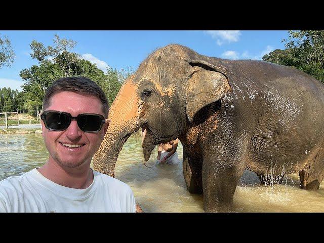 Playing with Elephants in Thailand! Green Sanctuary Phuket 