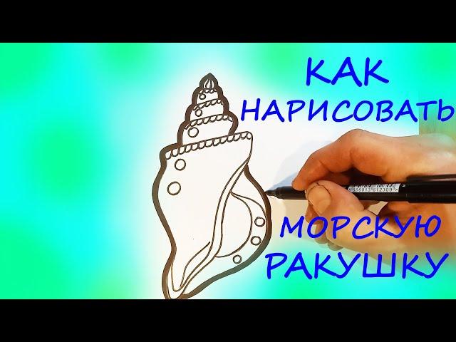 Как нарисовать морскую ракушку / рисунки для срисовки / how to draw a seashell.