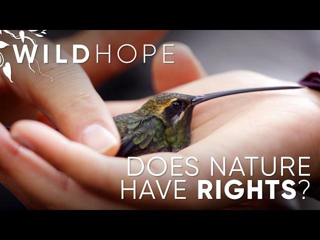 Does nature have the right to be protected? | WILD HOPE