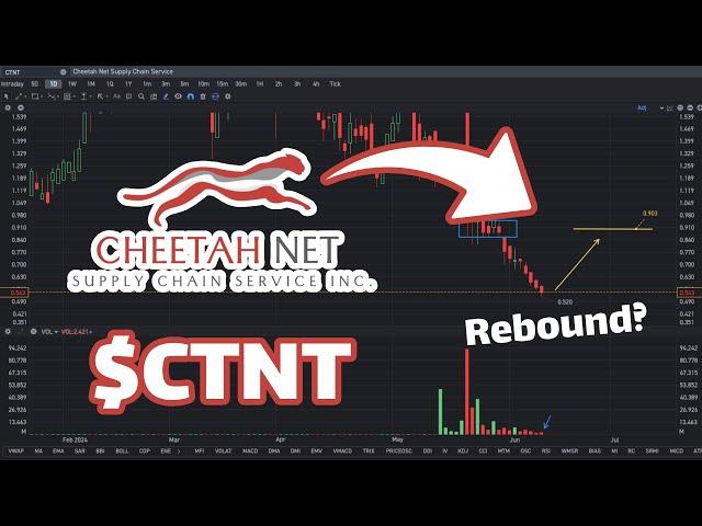 CTNT Stock Prediction: Will it Rebound? - CTNT Stock Analysis