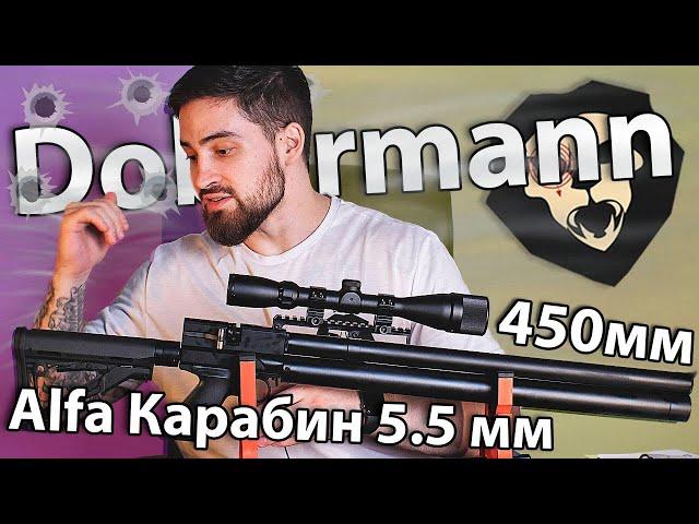 PCP Alfa Dobermann Карабин 5.5 мм (450 мм, полигональные нарезы) видео обзор