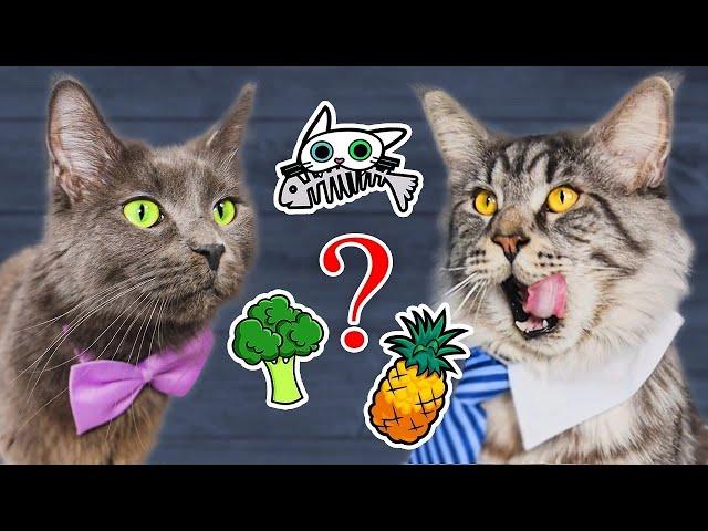 Кулинарная дегустация с мейнкунами — Кусь-шоу — Фудчеллендж
