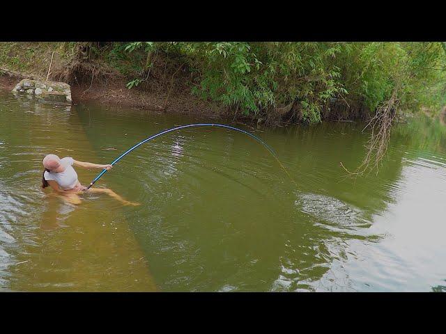 Best Video Hook Fishing | Fishing Giant Black Carp | Girl Fishing