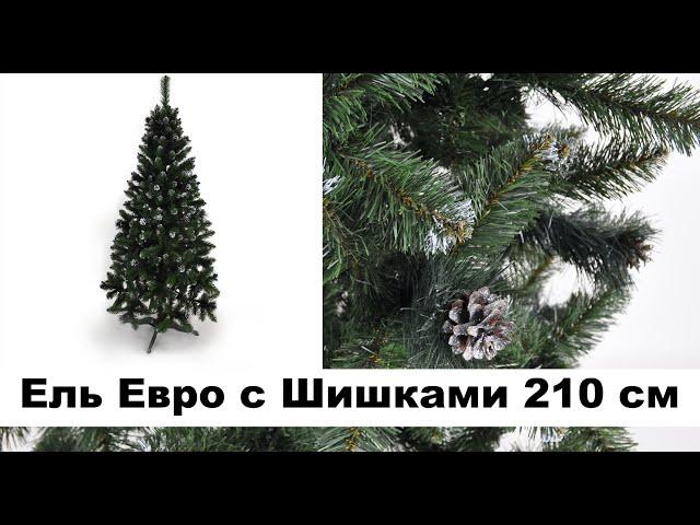 Европейская Ель с Шишками 210 см | Новогодняя елка с шишками 2.1 м