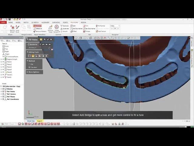 Getting Started with Geomagic Design X | Fill Holes