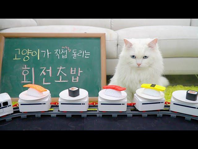 Sushi for Cats (ENG SUB)