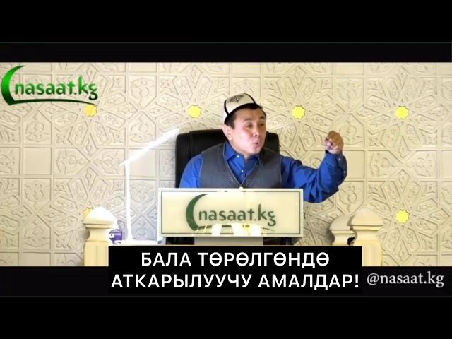 БАЛА ТӨРӨЛГӨНДӨ АТКАРЫЛУУЧУ АМАЛДАР! Шейх Абдишүкүр Нарматов.